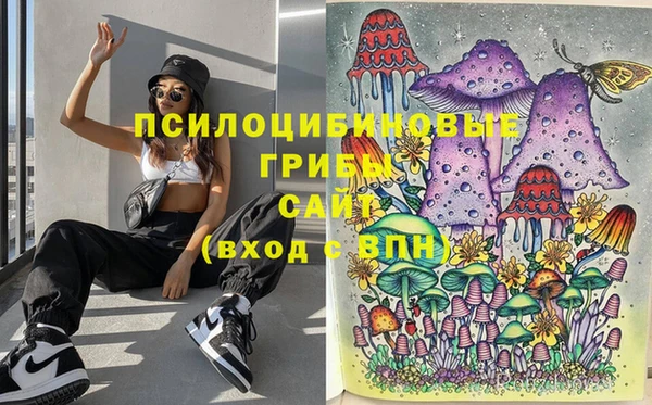 соль курить ск Алзамай