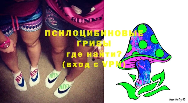 бутират Алексеевка