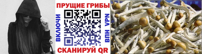 Галлюциногенные грибы мухоморы  Ардатов 